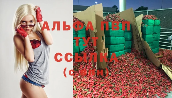 стафф Волоколамск