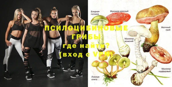 стафф Волоколамск